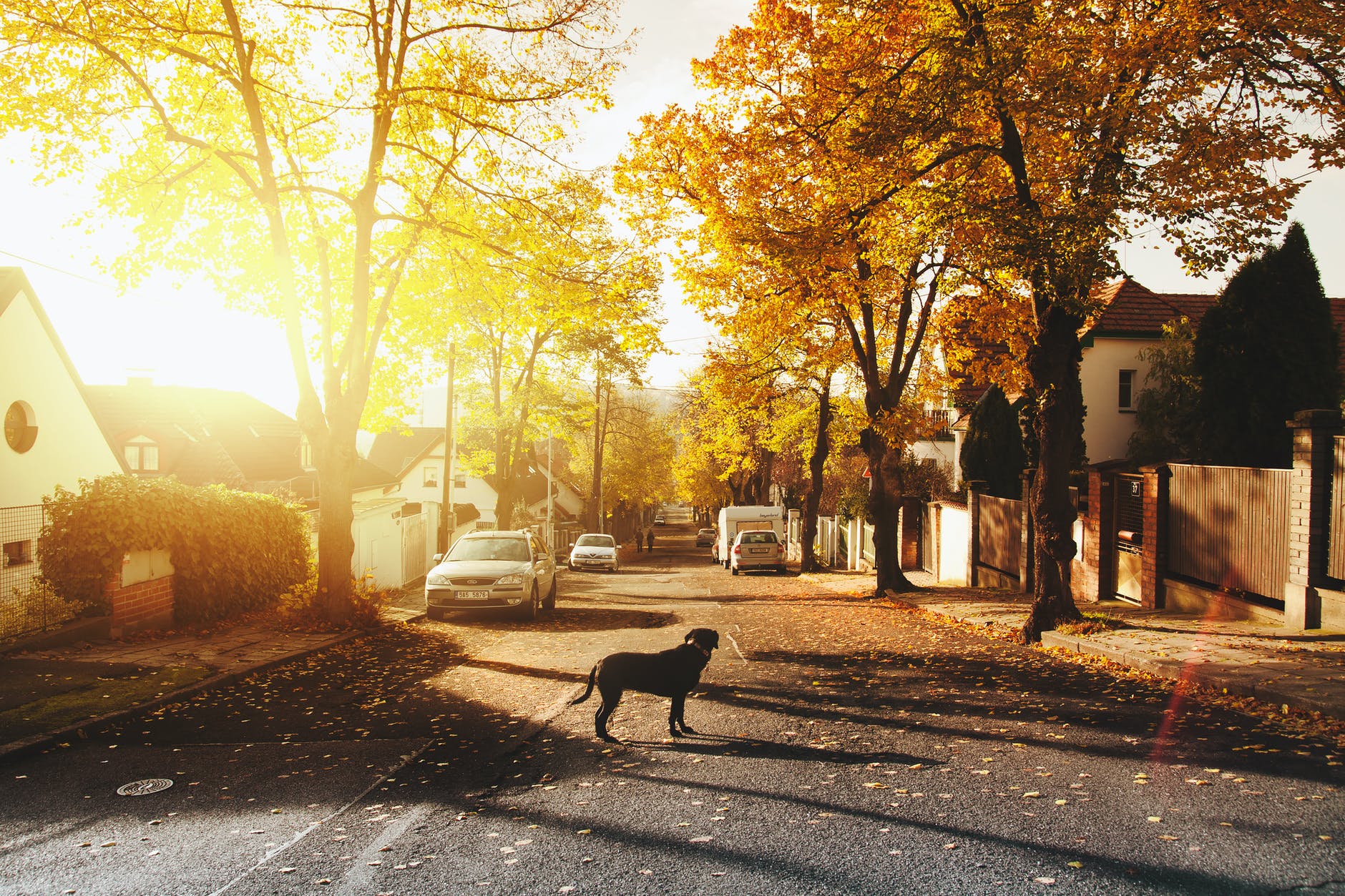 vivir en una urbanización