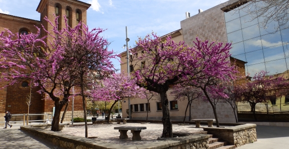 vivir en Cornellá de Llobregat