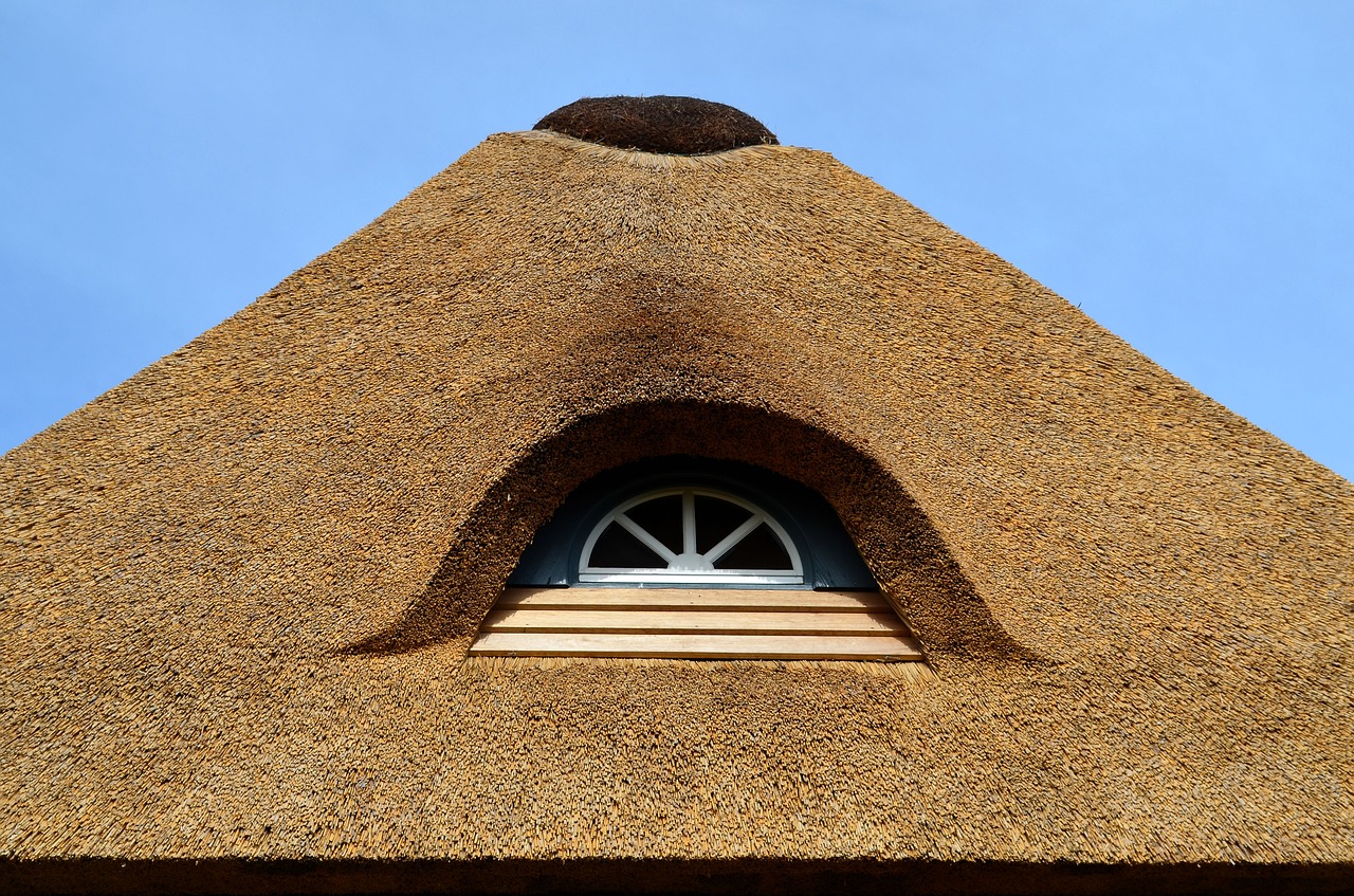 casas de paja