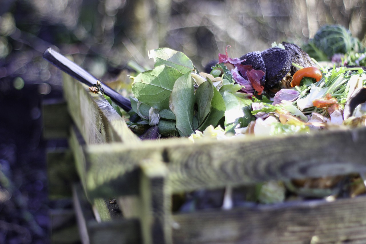 cómo hacer compost casero
