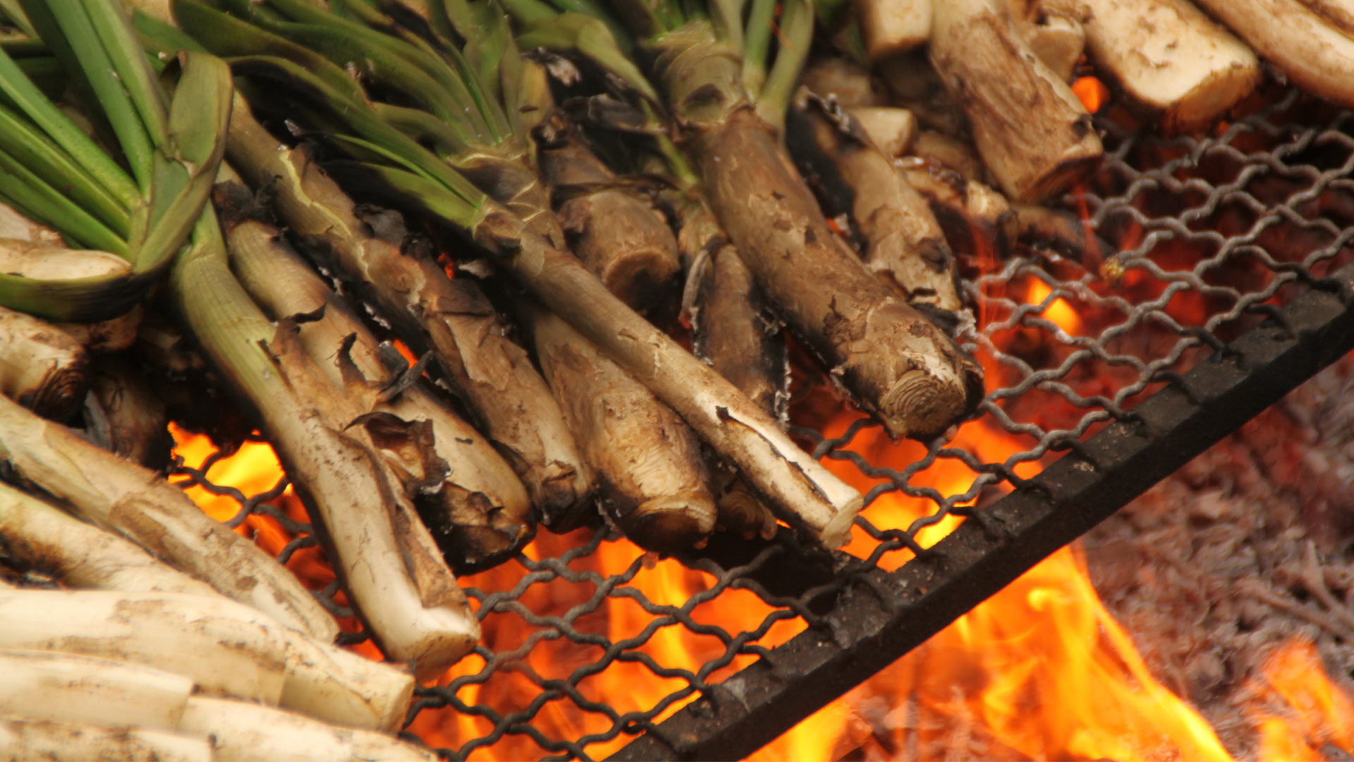 Calçotadas en Barcelona