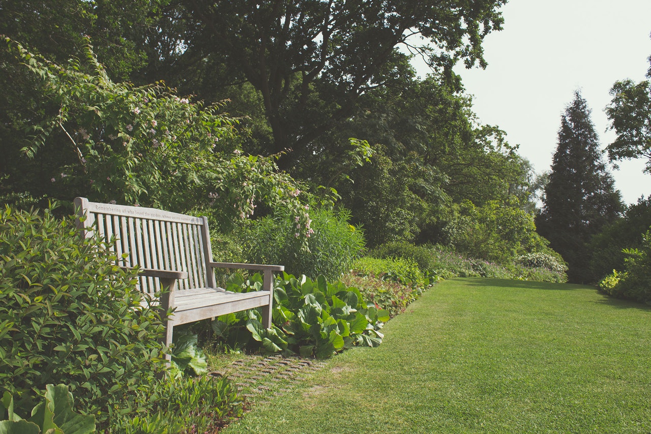 Jardín en verano