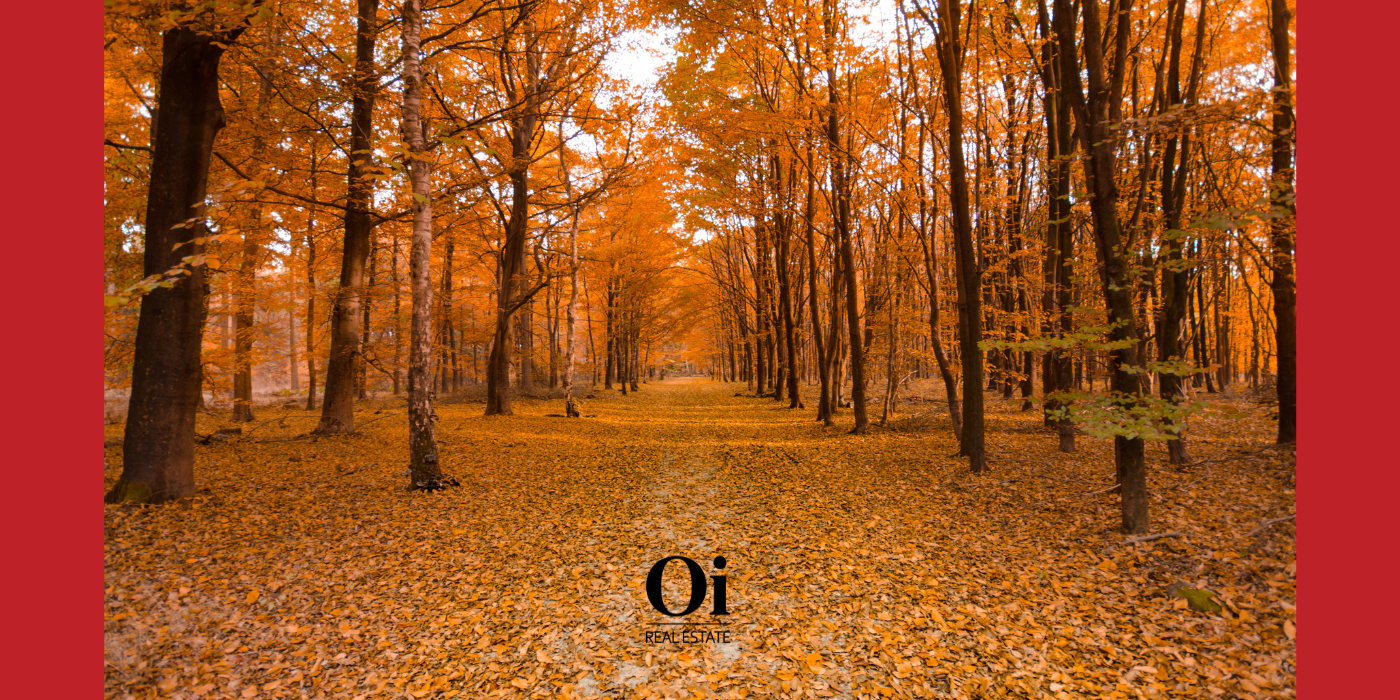 Ciudades españolas para visitar en otoño