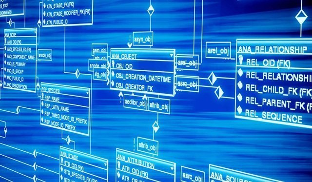 base de datos y cadena de bloques