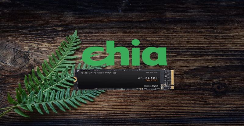 chia