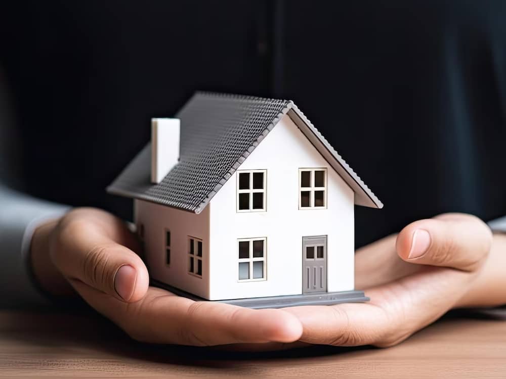 la mejor inmobiliaria zonal