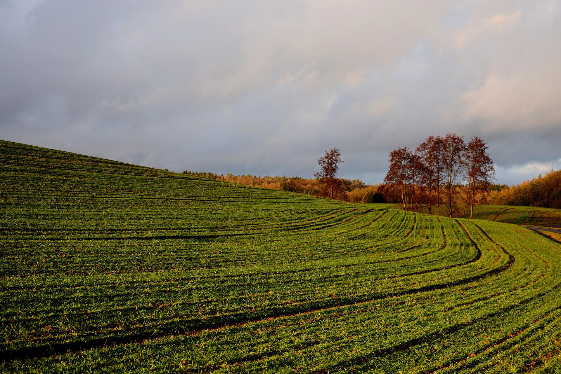 Tierras de cultivo