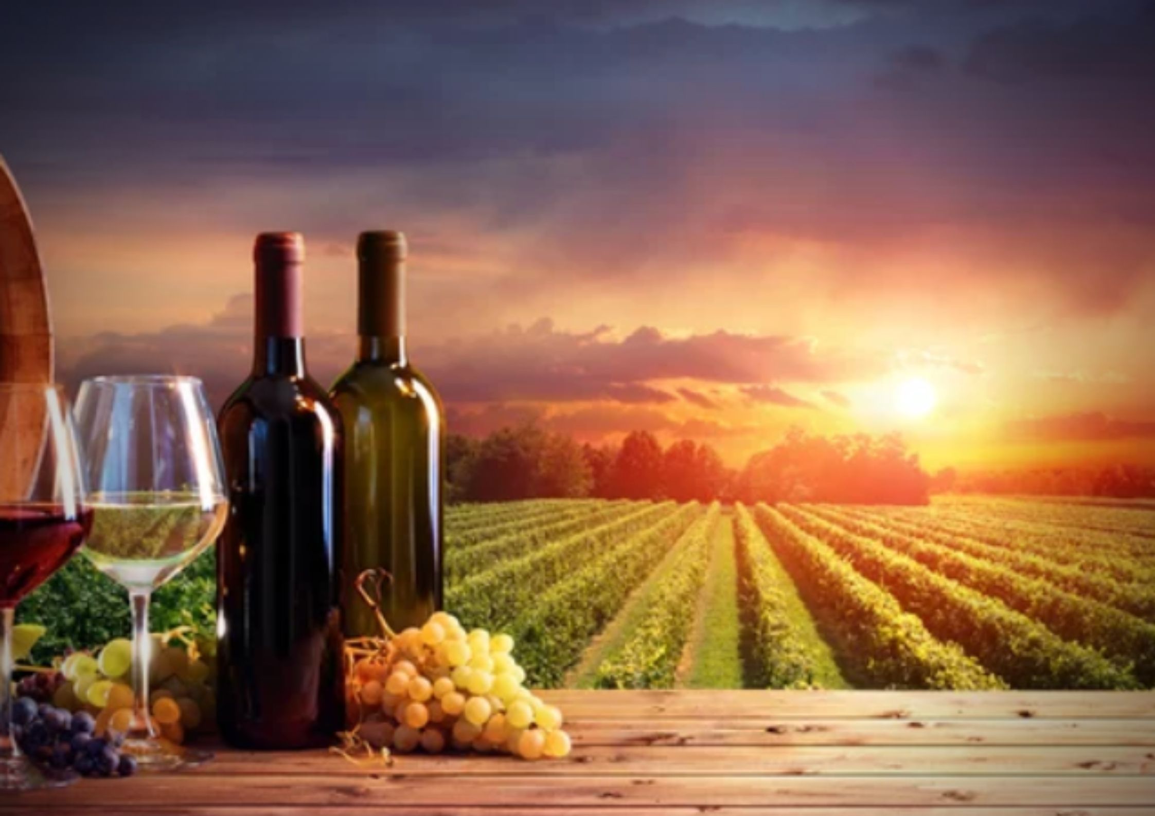 Las mejores rutas del vinos para disfrutar en otoño