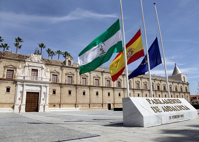 impuesto patrimonio