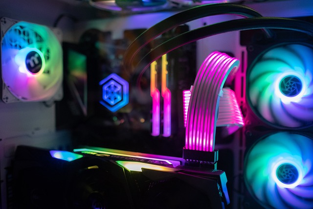 fan token