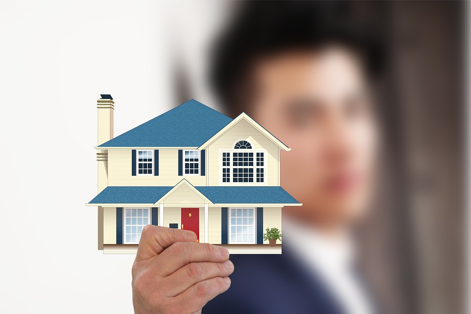 profesional inmobiliario
