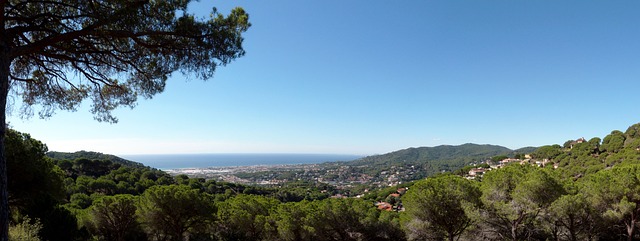 cabrils