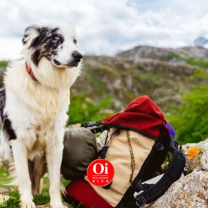 Experiencias turísticas sostenibles