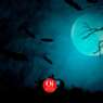 Los mejores destinos para celebrar Halloween